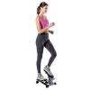 Mini Stepper with Monitor - Low Impact Black and Gray Stepper - Great Design for Working Out at Home - Stepper Machine - black - Metal